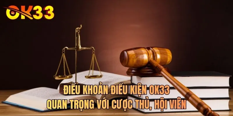 Điều khoản điều kiện OK33 quan trọng với cược thủ, hội viên
