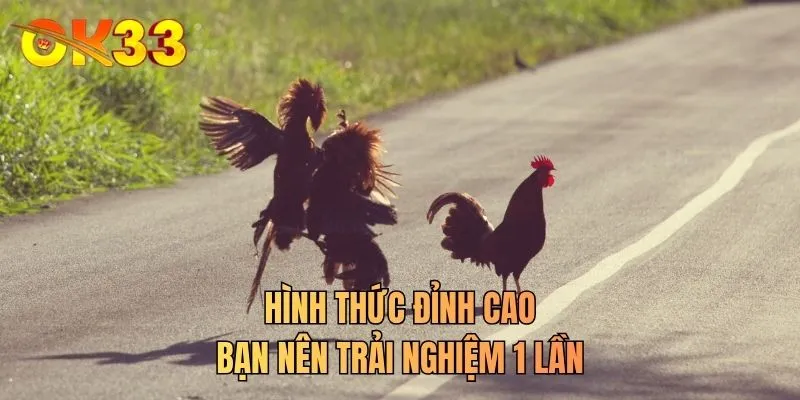 Hình thức đỉnh cao bạn nên trải nghiệm 1 lần